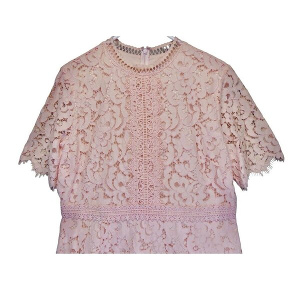 Rachel Parcell Pink Lace Sheath Dress Size XL Romantic Spring Easter Wedding - Picture 5 of 11